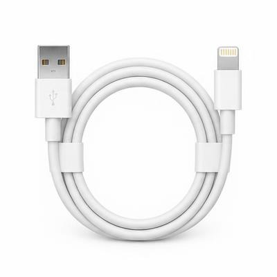 L1 USB to Lightning Cable